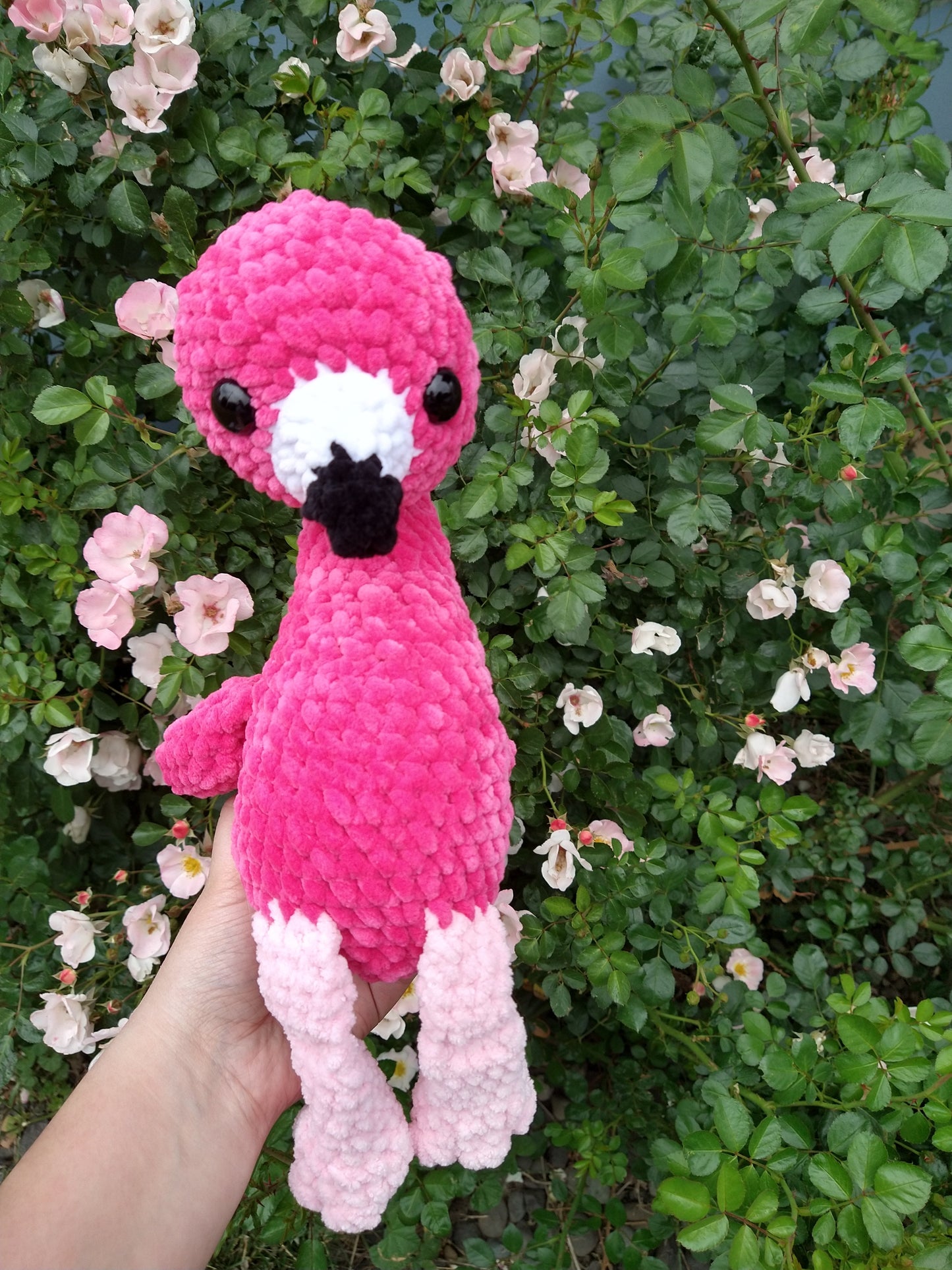 Flamingo